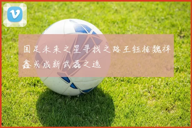 国足未来之星寻找之路王钰栋魏祥鑫或成新武磊之选